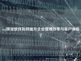 erp珠宝软件如何提升企业管理效率与客户体验？