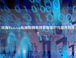 出海WhatsApp私域如何有效获取客户与提升转化？