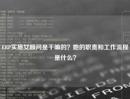 ERP实施女顾问是干嘛的？她的职责和工作流程是什么？