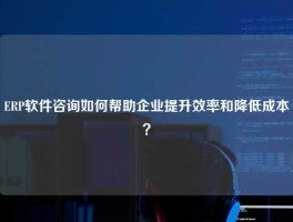 ERP软件咨询如何帮助企业提升效率和降低成本？
