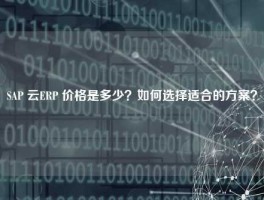 SAP 云ERP 价格是多少？如何选择适合的方案？