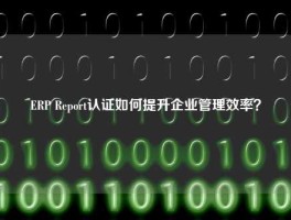 ERP Report认证如何提升企业管理效率？