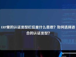 ERP里的认证类型栏位是什么意思？如何选择适合的认证类型？