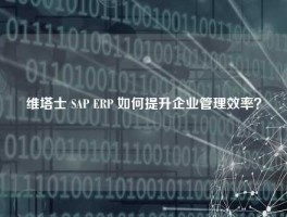 维塔士 SAP ERP 如何提升企业管理效率？