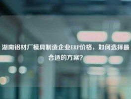 湖南铝材厂模具制造企业ERP价格，如何选择最合适的方案？